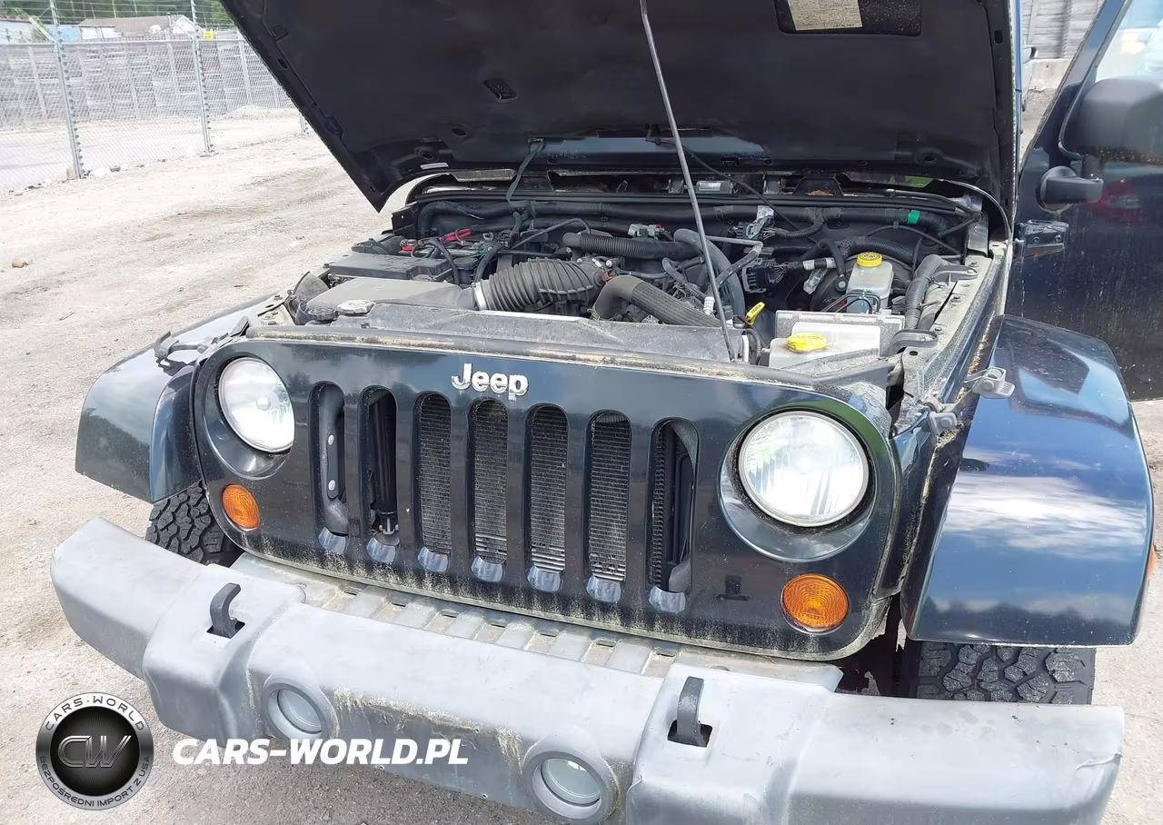 2007 Jeep Wrangler Sahara VIN:1J4FA54187L207732 - 10