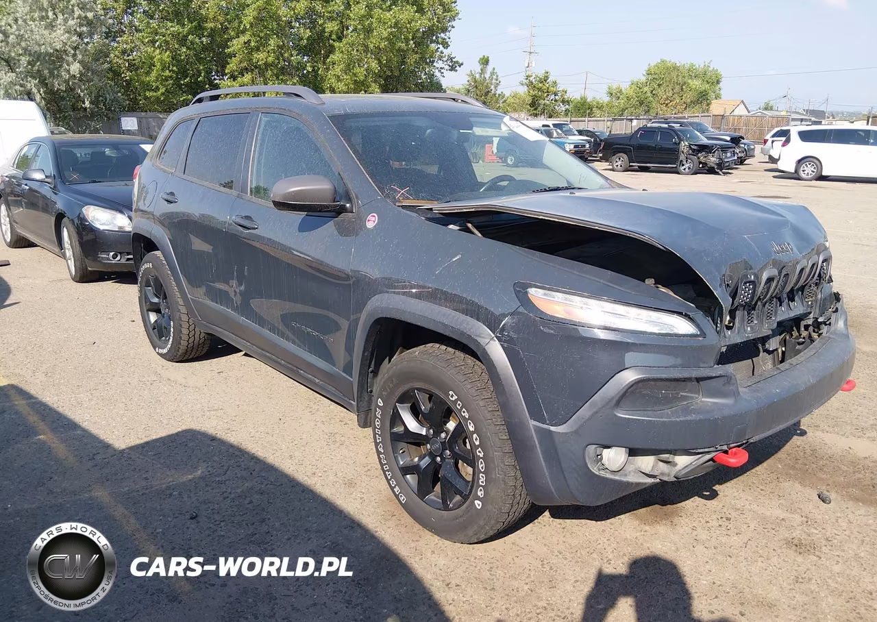 2016 Jeep Cherokee Trailhawk VIN:1C4PJMBS7GW268052 - 13