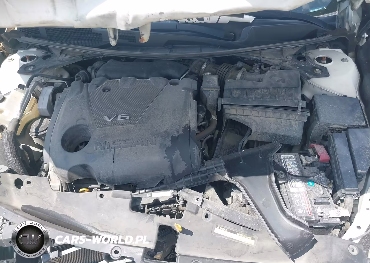 2019 Nissan Maxima 3.5 Platinum VIN:1N4AA6AV2KC377161 - 10