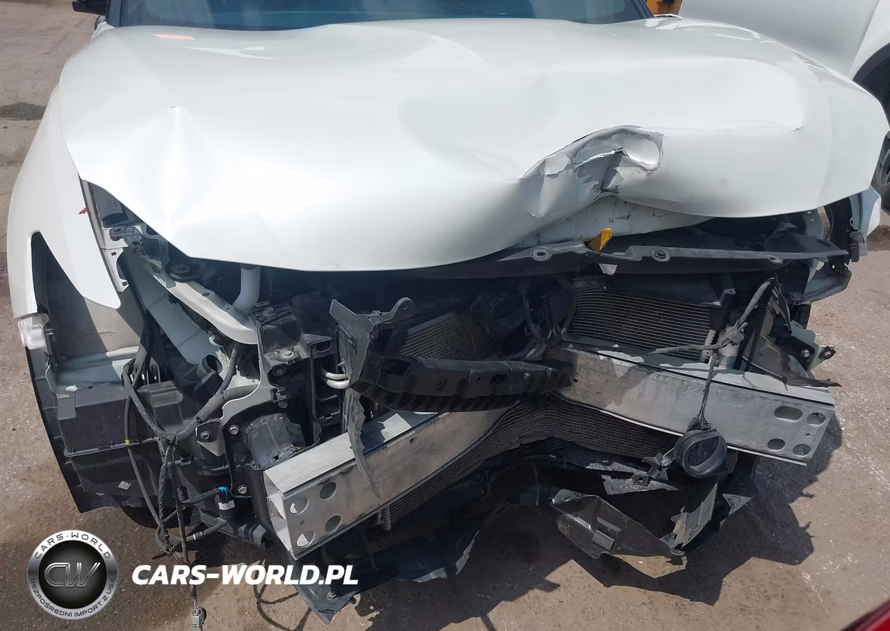 2019 Nissan Maxima 3.5 Platinum VIN:1N4AA6AV2KC377161 - 6