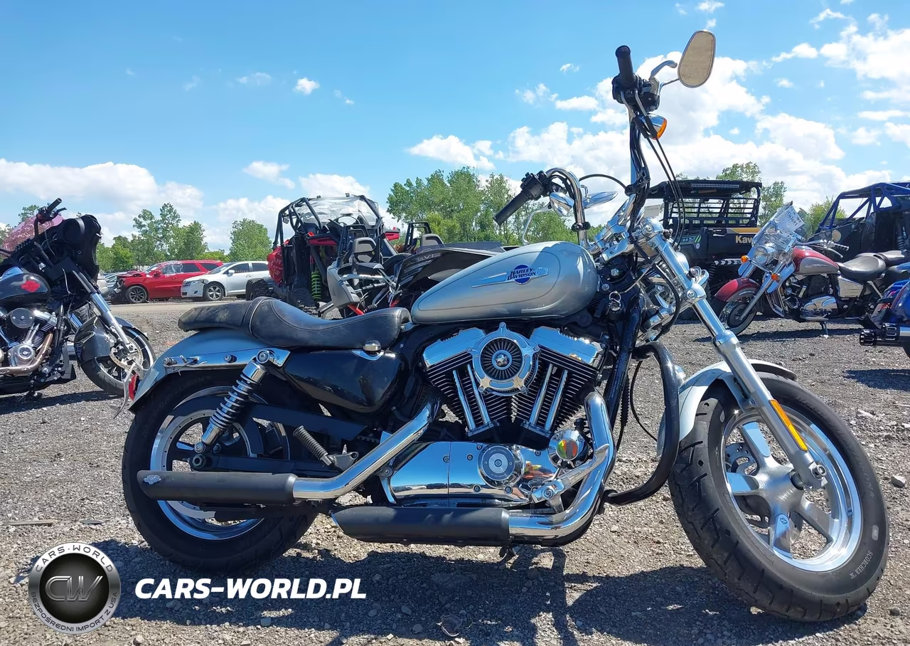 2012 Harley-Davidson Xl1200 Cp VIN:1HD1LH318CC415020 - 12
