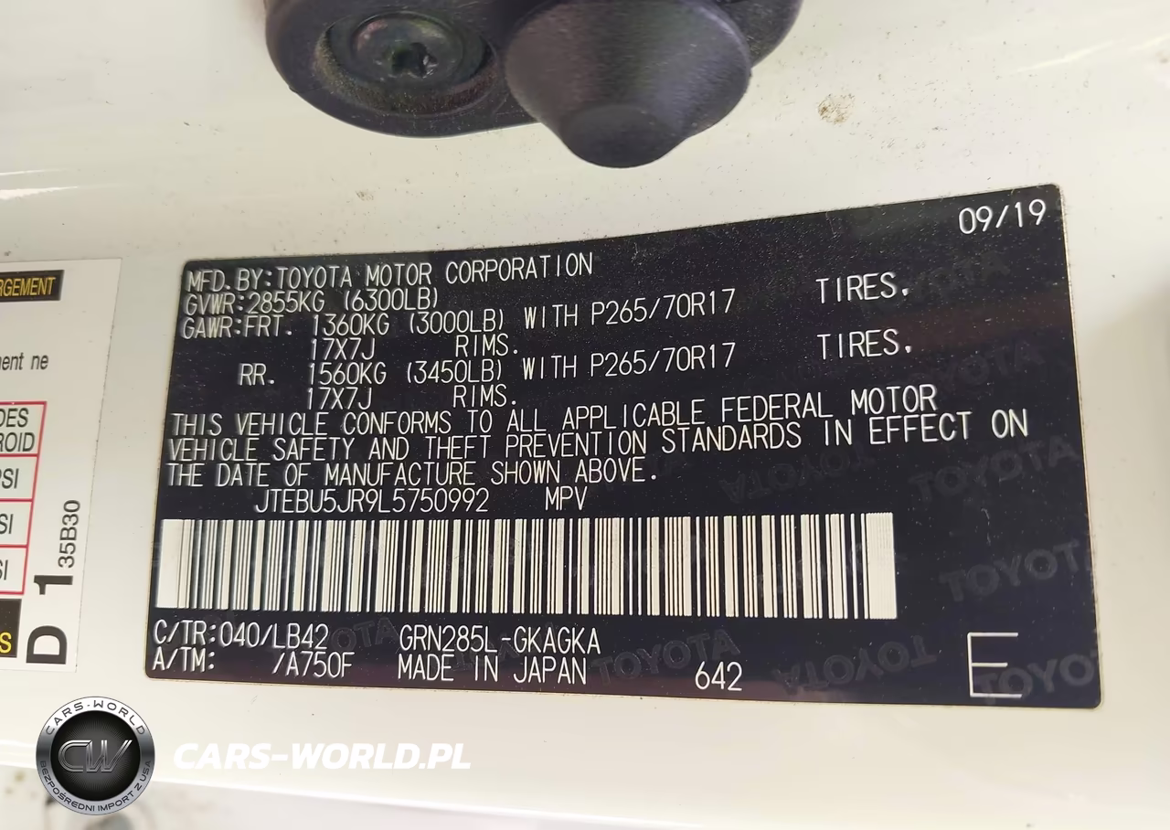 2020 Toyota 4Runner Sr5 Premium VIN:JTEBU5JR9L5750992 - 9