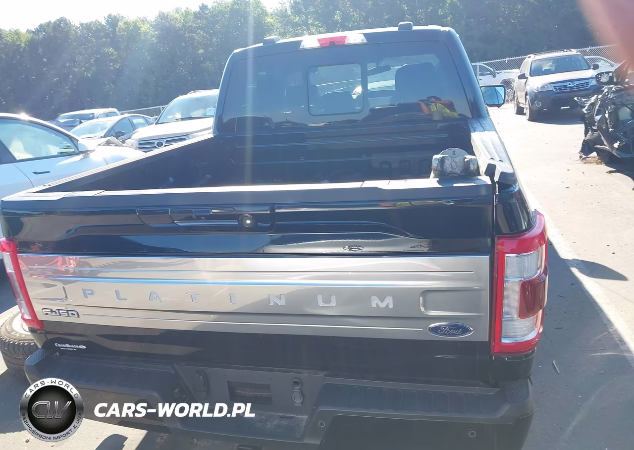 2023 Ford F-150 Platinum VIN:1FTFW1ED6PFA59457 - 17