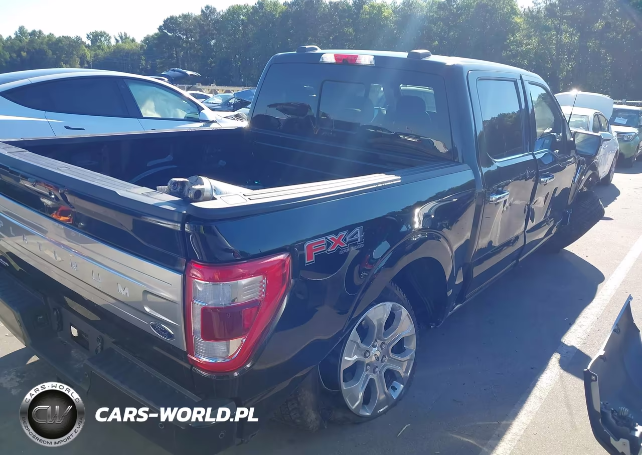2023 Ford F-150 Platinum VIN:1FTFW1ED6PFA59457 - 4