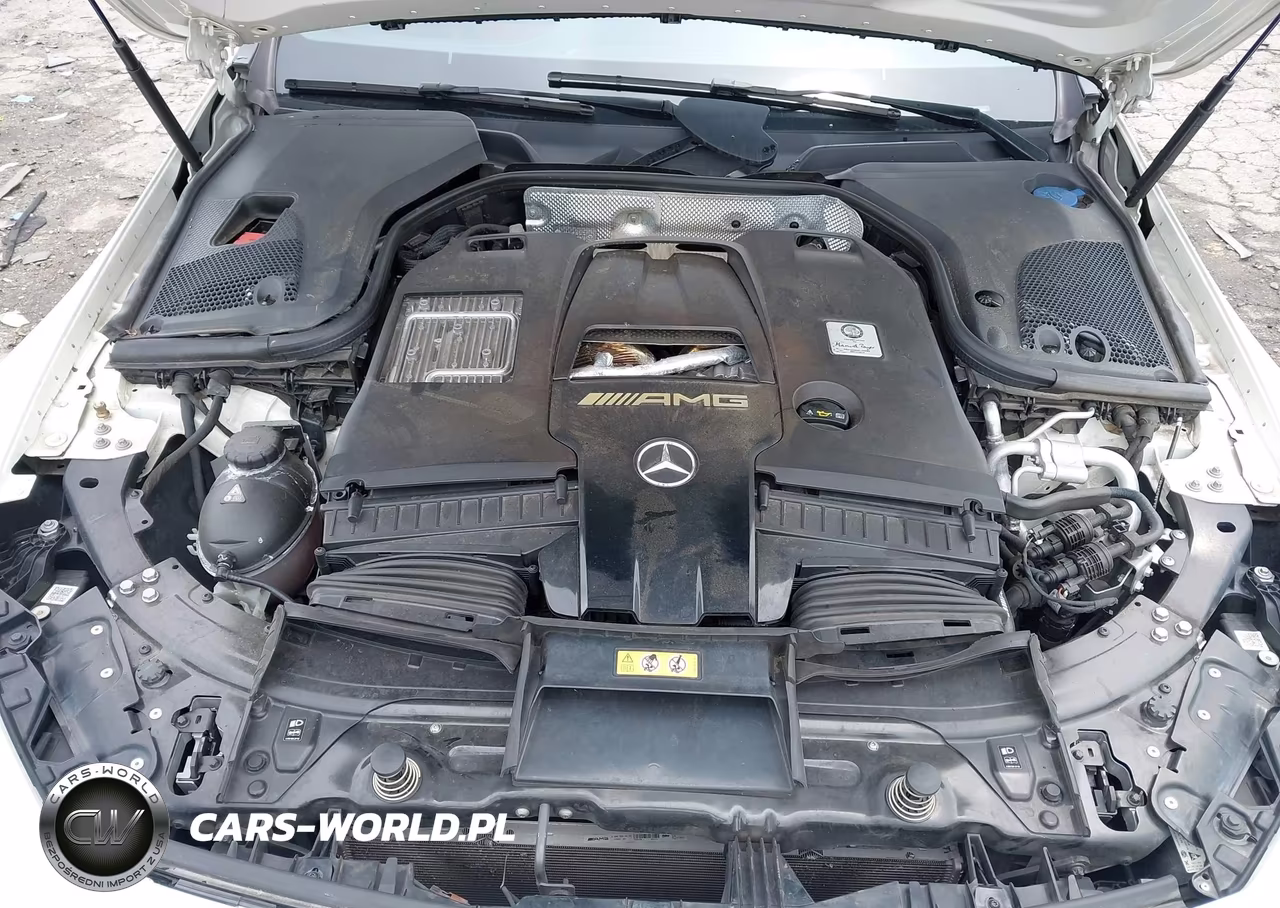 2019 Mercedes-Benz Amg Gt 63 4-Door Coupe VIN:WDD7X8JB3KA008220 - 10
