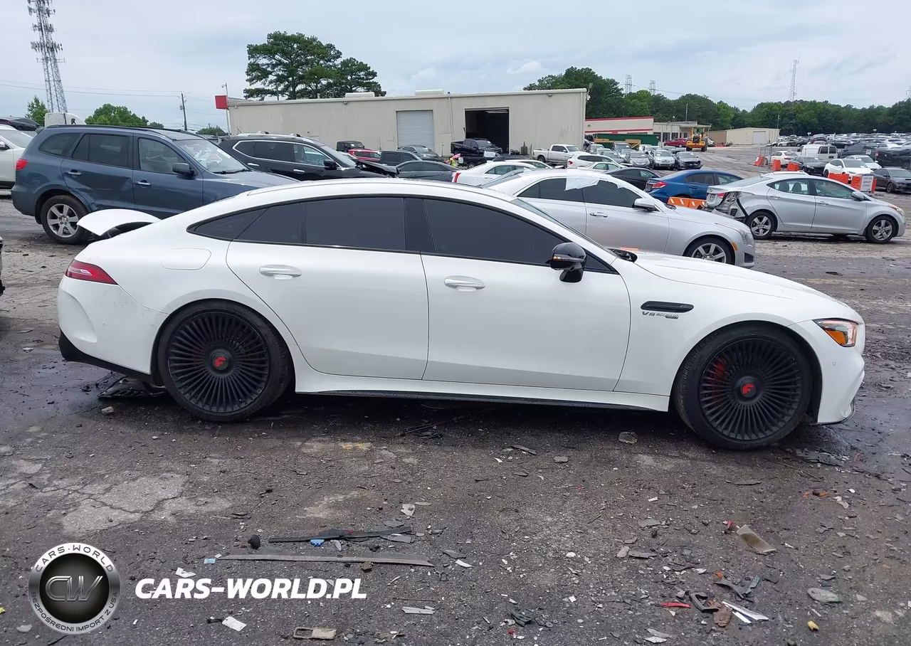 2019 Mercedes-Benz Amg Gt 63 4-Door Coupe VIN:WDD7X8JB3KA008220 - 13