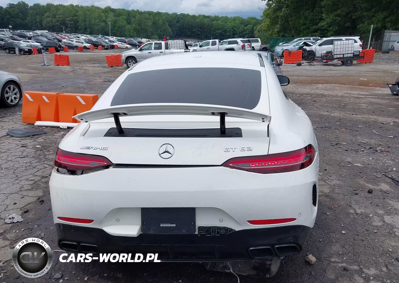 2019 Mercedes-Benz Amg Gt 63 4-Door Coupe VIN:WDD7X8JB3KA008220 - 16
