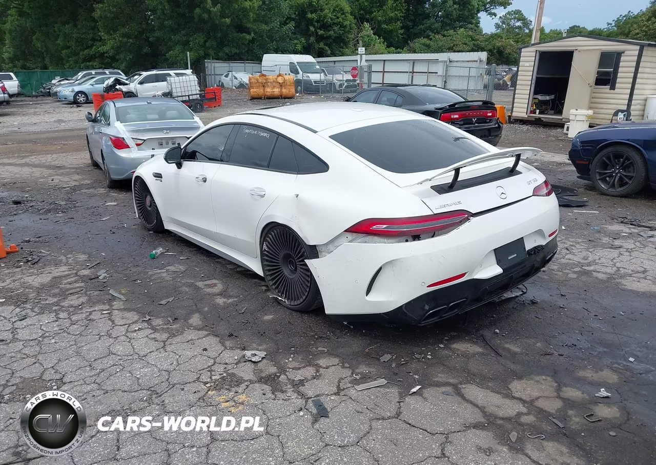 2019 Mercedes-Benz Amg Gt 63 4-Door Coupe VIN:WDD7X8JB3KA008220 - 3