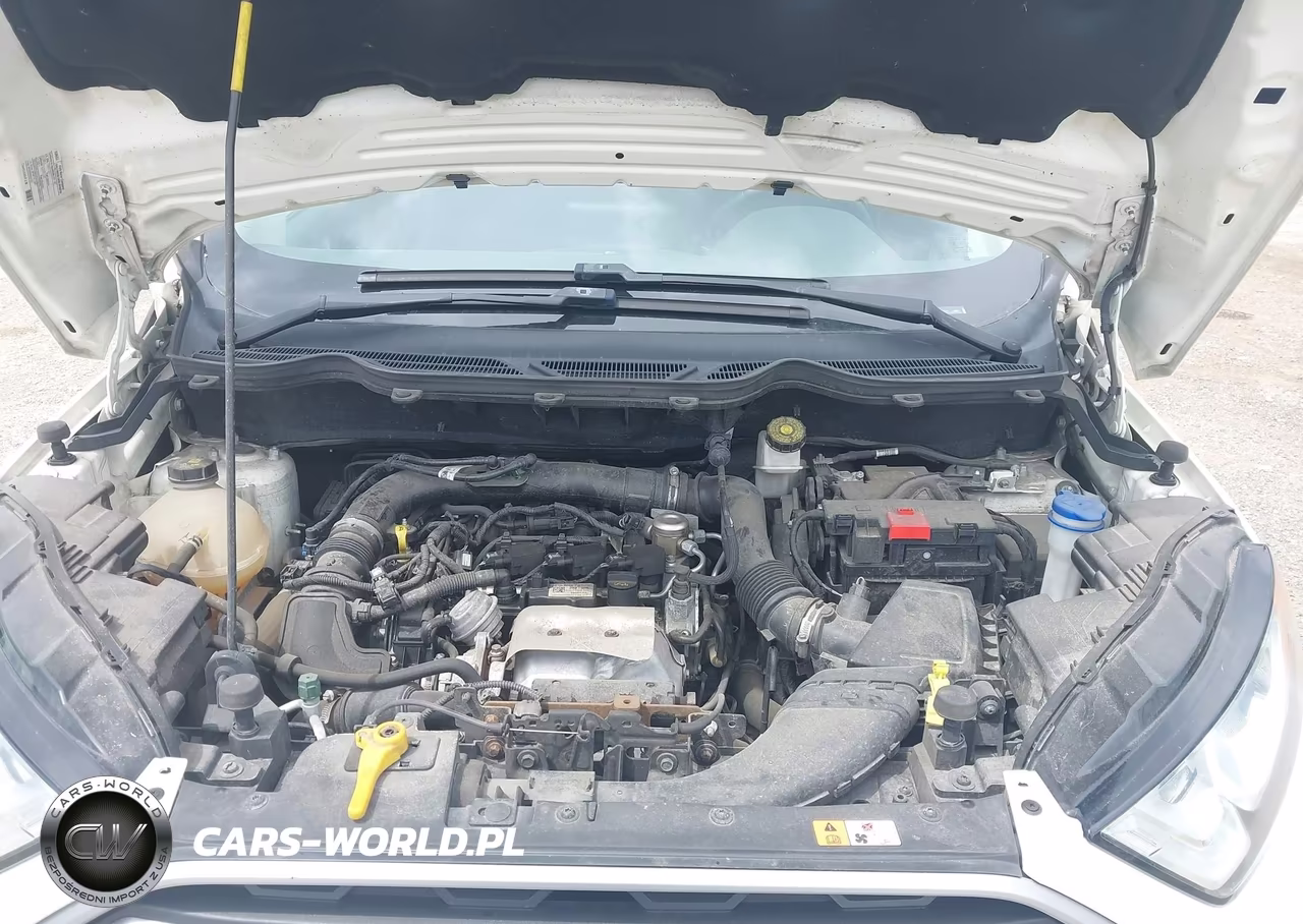 2021 Ford Ecosport Se VIN:MAJ3S2GE4MC400111 - 10