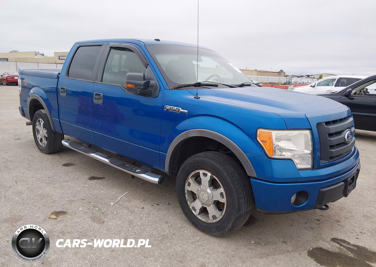 2010 Ford F-150 Fx4 – zdjęcie 1 z 16
