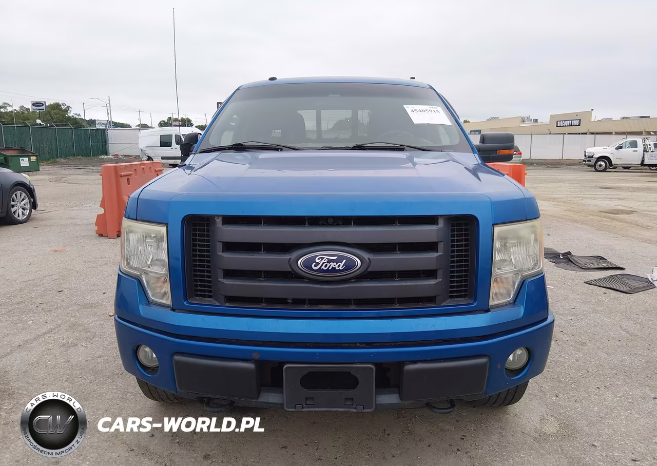 2010 Ford F-150 Fx4 VIN:1FTFW1EV9AFA49179 - 12