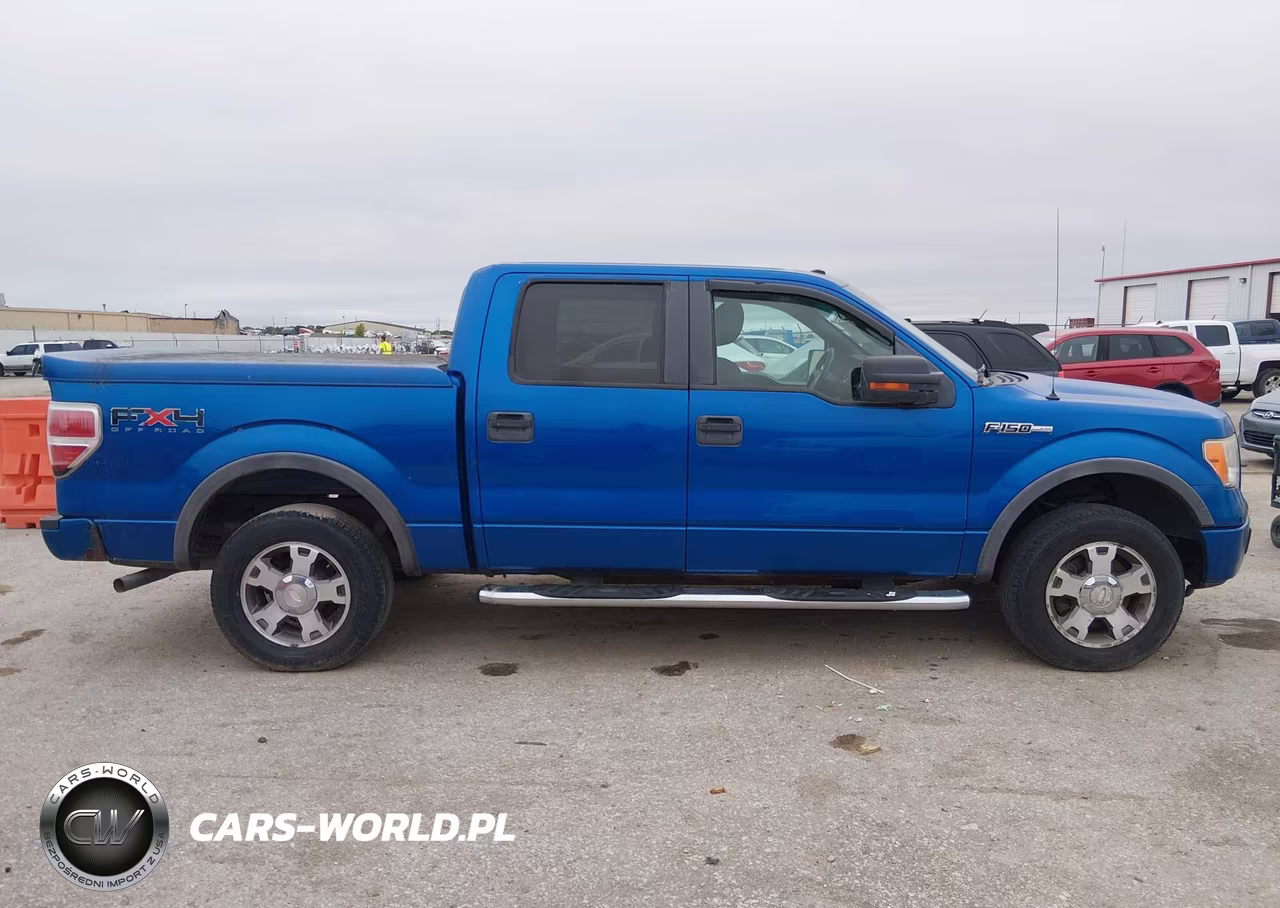 2010 Ford F-150 Fx4 VIN:1FTFW1EV9AFA49179 - 13