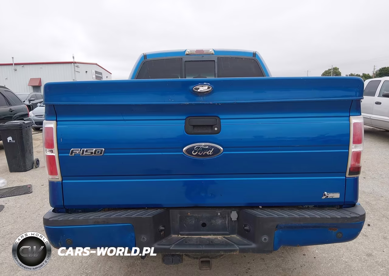 2010 Ford F-150 Fx4 VIN:1FTFW1EV9AFA49179 - 16