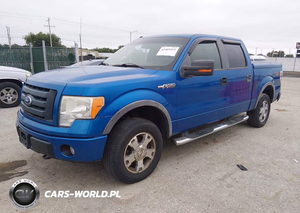 2010 Ford F-150 Fx4 VIN:1FTFW1EV9AFA49179 - 2