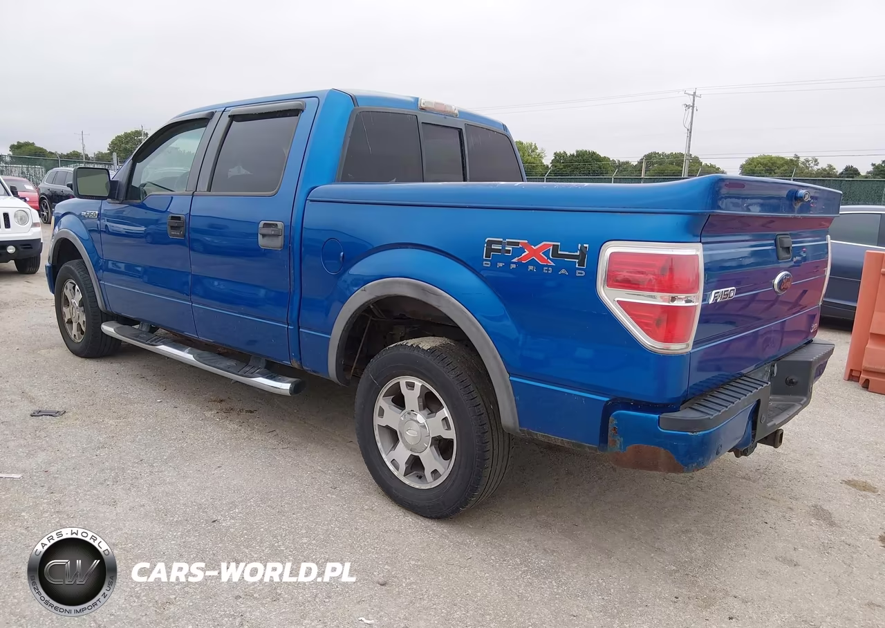 2010 Ford F-150 Fx4 VIN:1FTFW1EV9AFA49179 - 3