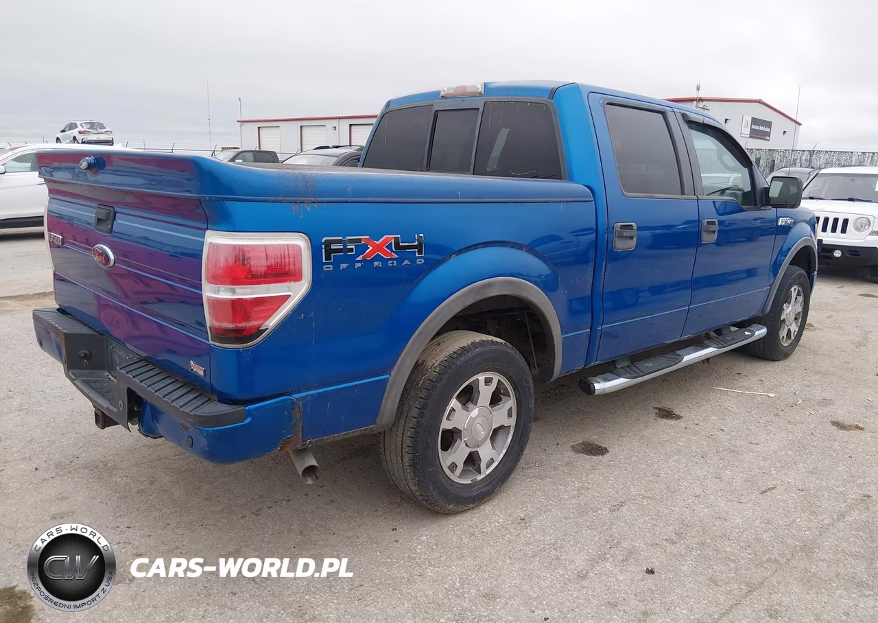 2010 Ford F-150 Fx4 VIN:1FTFW1EV9AFA49179 - 4