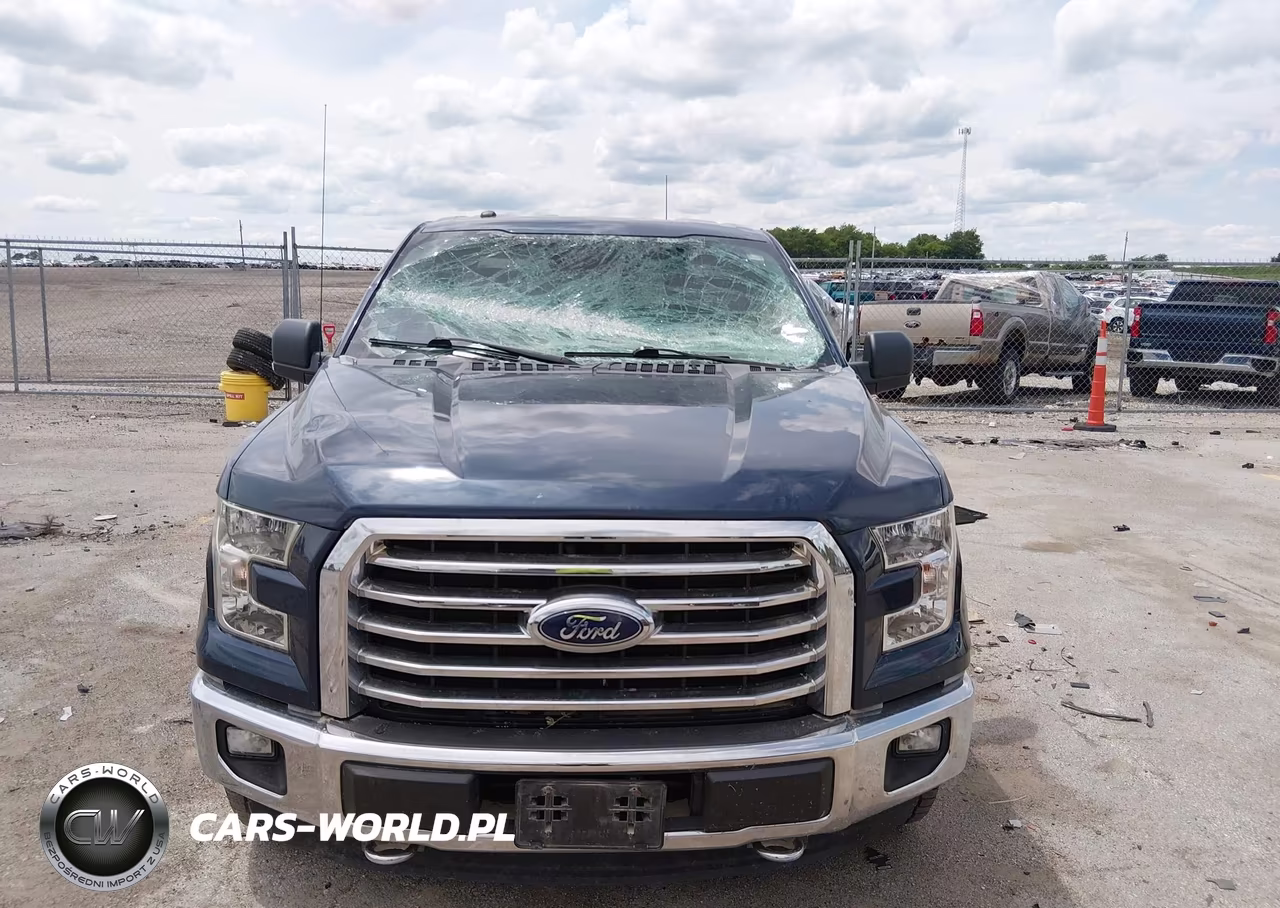 2016 Ford F-150 Lariat-Xl-Xlt VIN:1FTEX1EP1GKF67796 - 12