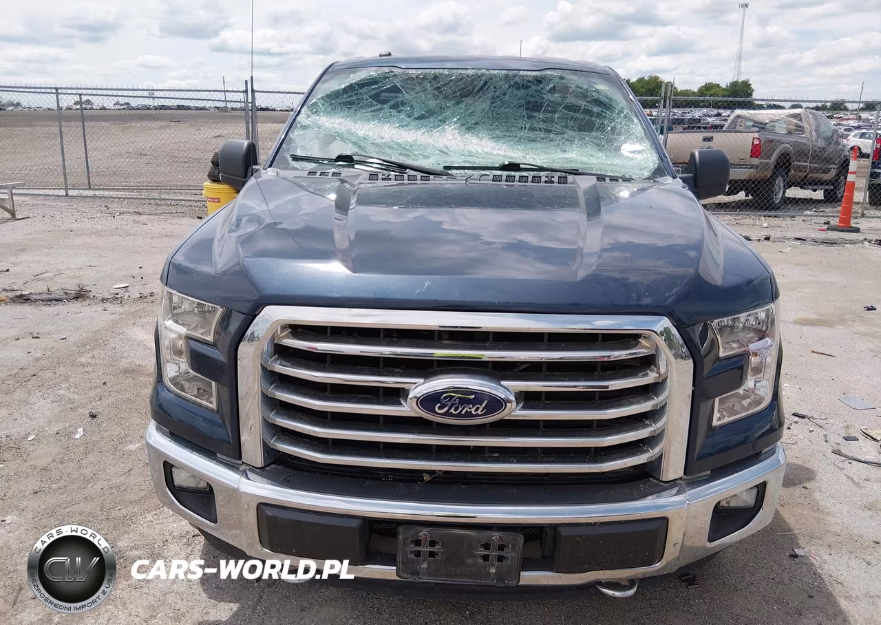 2016 Ford F-150 Lariat-Xl-Xlt VIN:1FTEX1EP1GKF67796 - 6