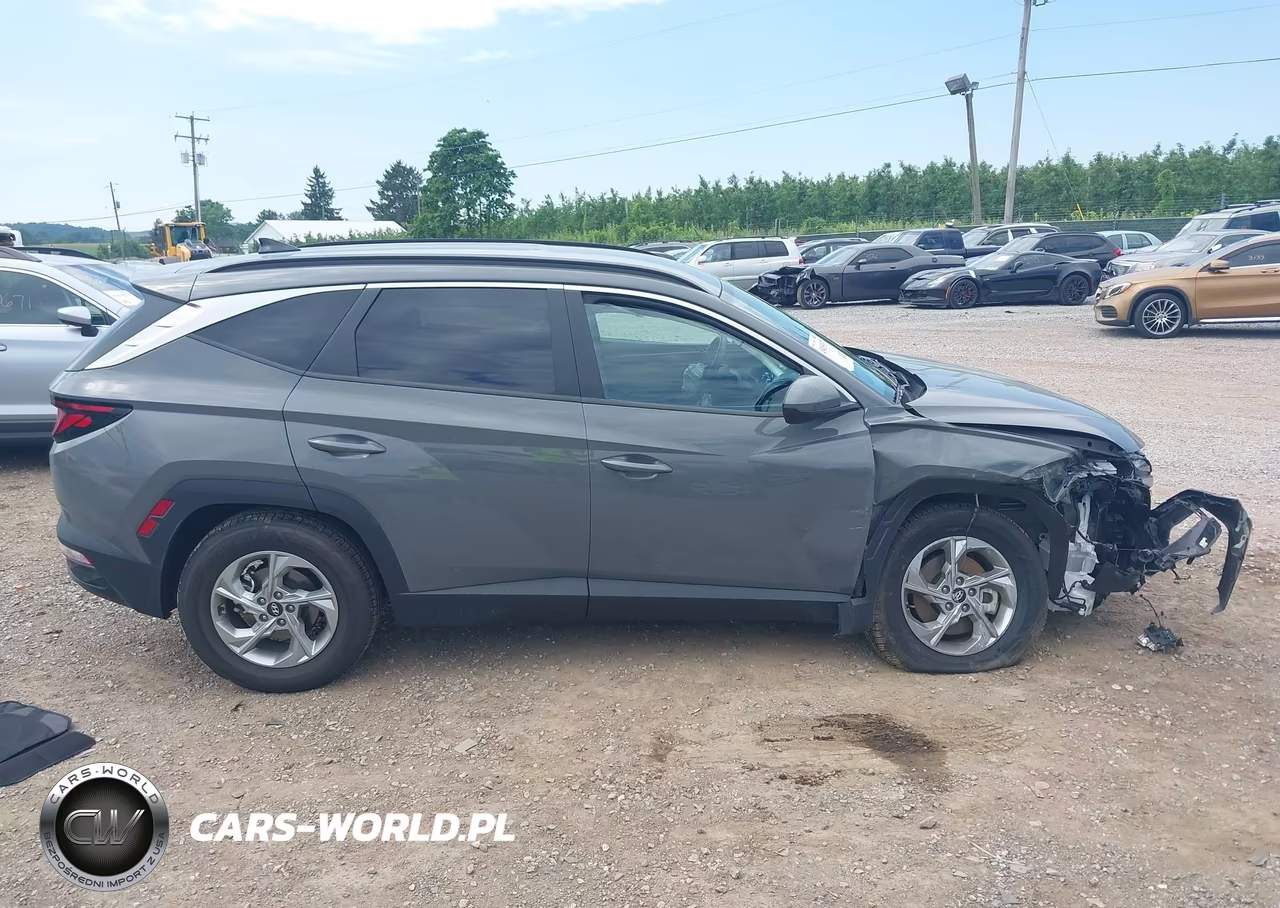 2024 Hyundai Tucson Sel VIN:5NMJBCDE6RH429324 - 13