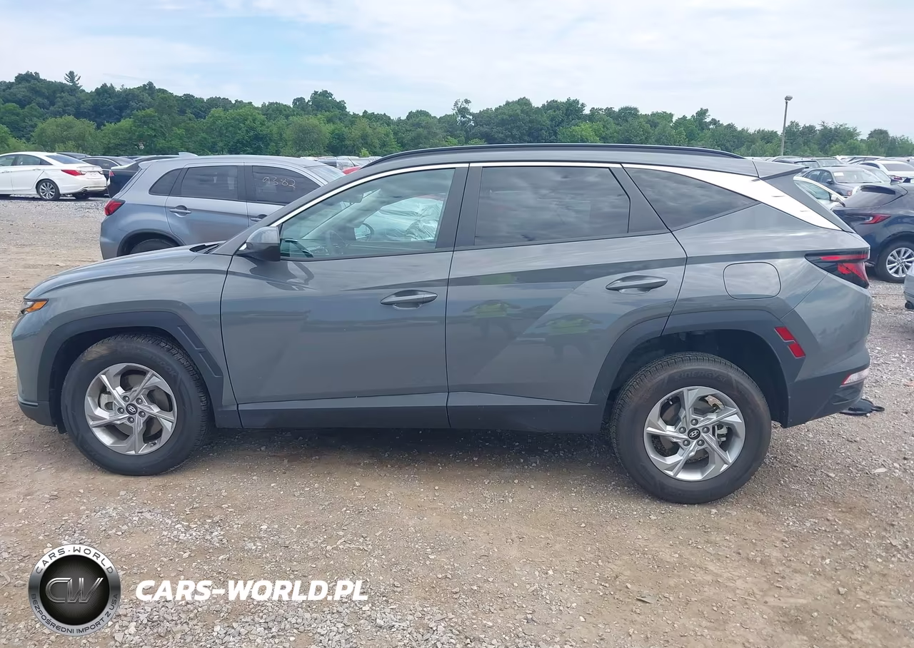 2024 Hyundai Tucson Sel VIN:5NMJBCDE6RH429324 - 14