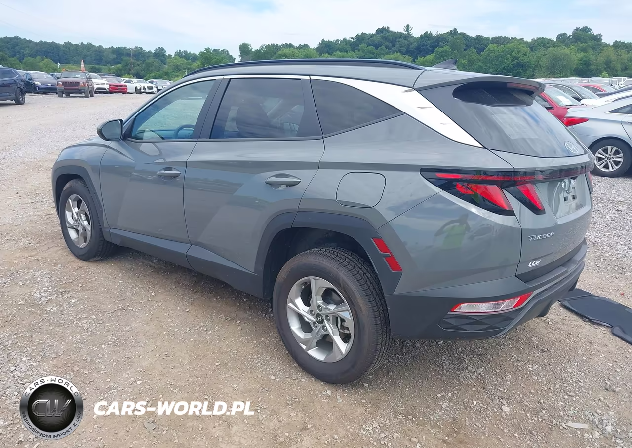 2024 Hyundai Tucson Sel VIN:5NMJBCDE6RH429324 - 3