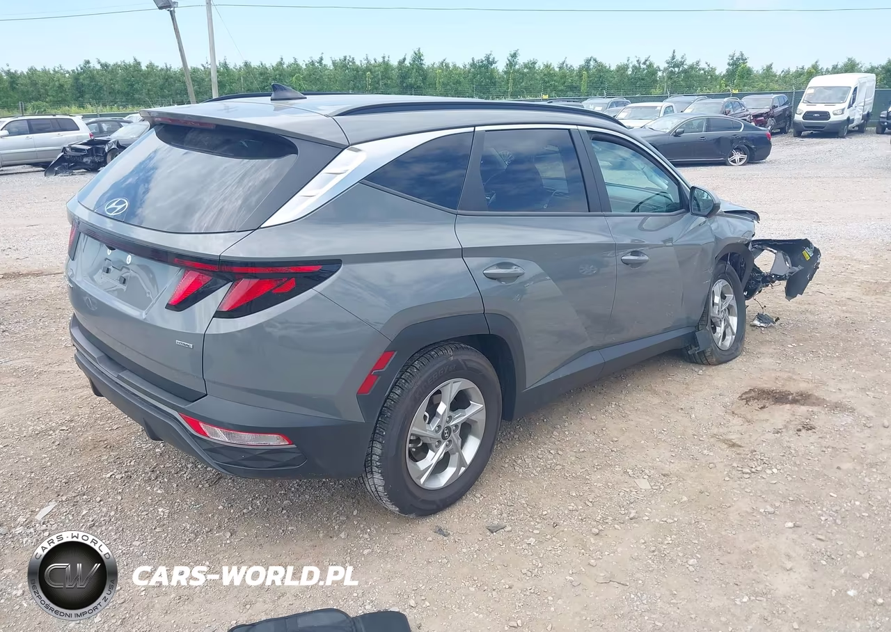 2024 Hyundai Tucson Sel VIN:5NMJBCDE6RH429324 - 4