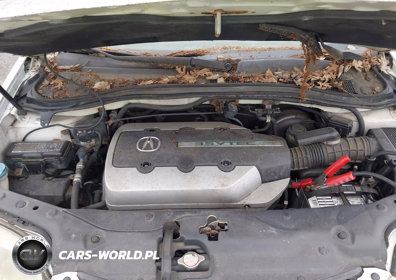2005 Acura Mdx VIN:2HNYD18675H554347 - 10