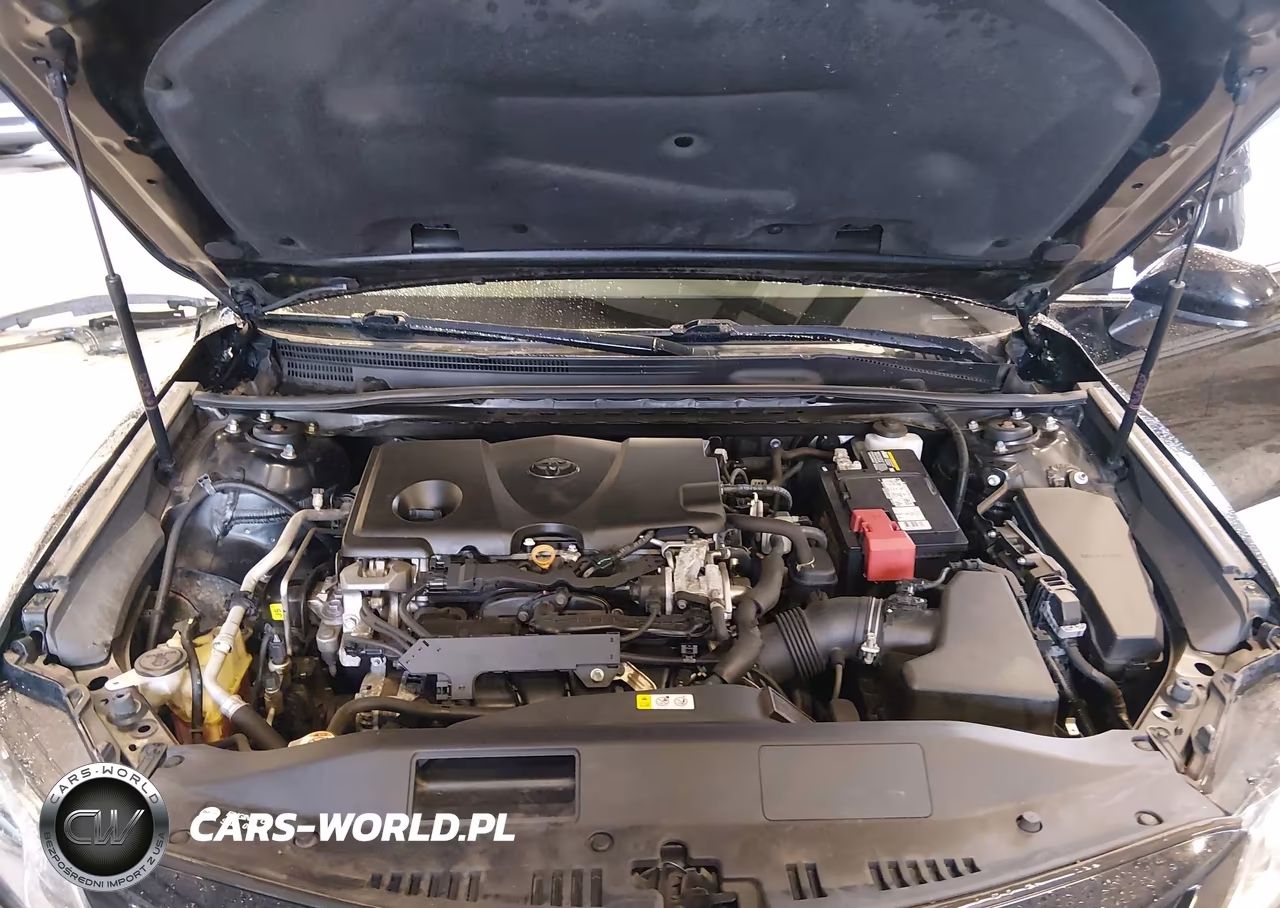 2019 Toyota Camry Se VIN:4T1B11HK0KU272475 - 10