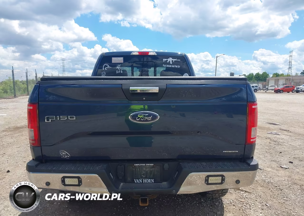 2015 Ford F-150 King Ranch-Lariat-Platinum-Xl-Xlt VIN:1FTFW1EF1FFB01713 - 16