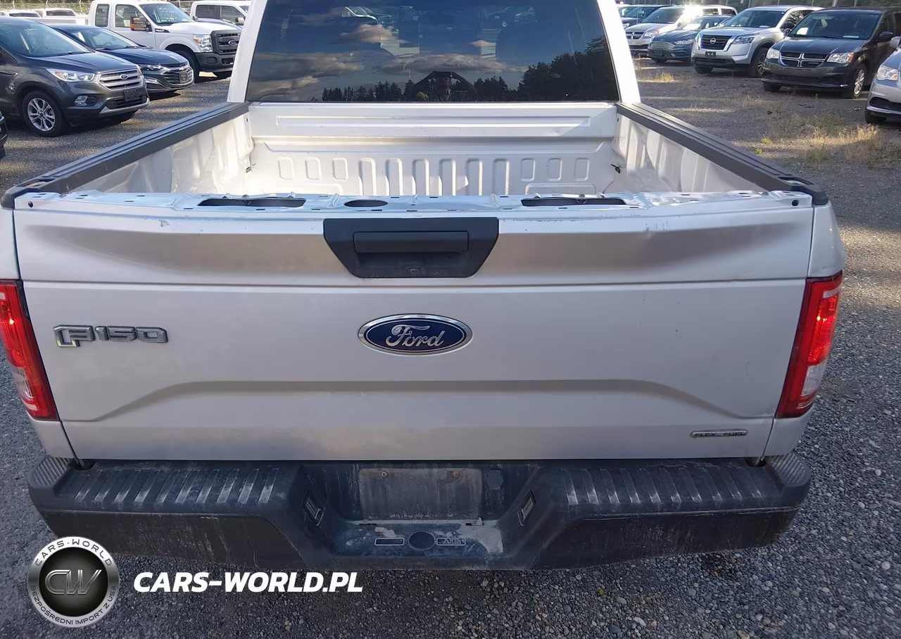 2017 Ford F-150 Xl VIN:1FTEW1E83HKE26323 - 13