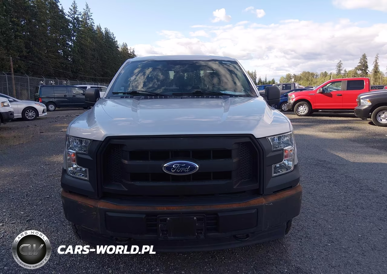 2017 Ford F-150 Xl VIN:1FTEW1E83HKE26323 - 15