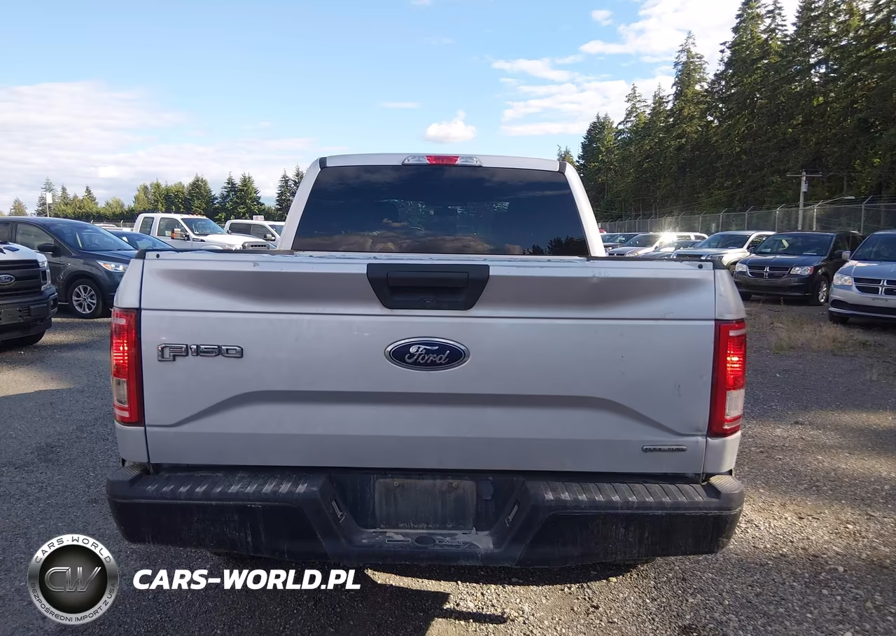 2017 Ford F-150 Xl VIN:1FTEW1E83HKE26323 - 19