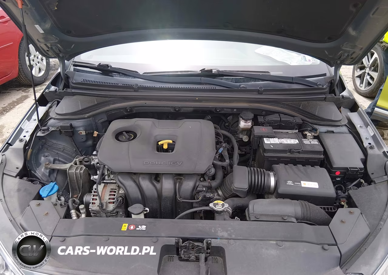 2019 Hyundai Elantra Sel VIN:KMHD84LF7KU742873 - 10