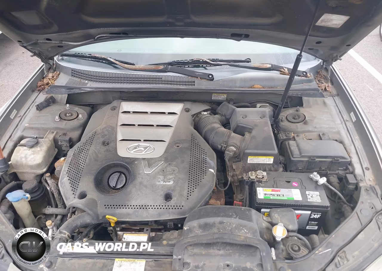 2007 Hyundai Sonata Limited-Se V6 VIN:5NPEU46FX7H232731 - 10
