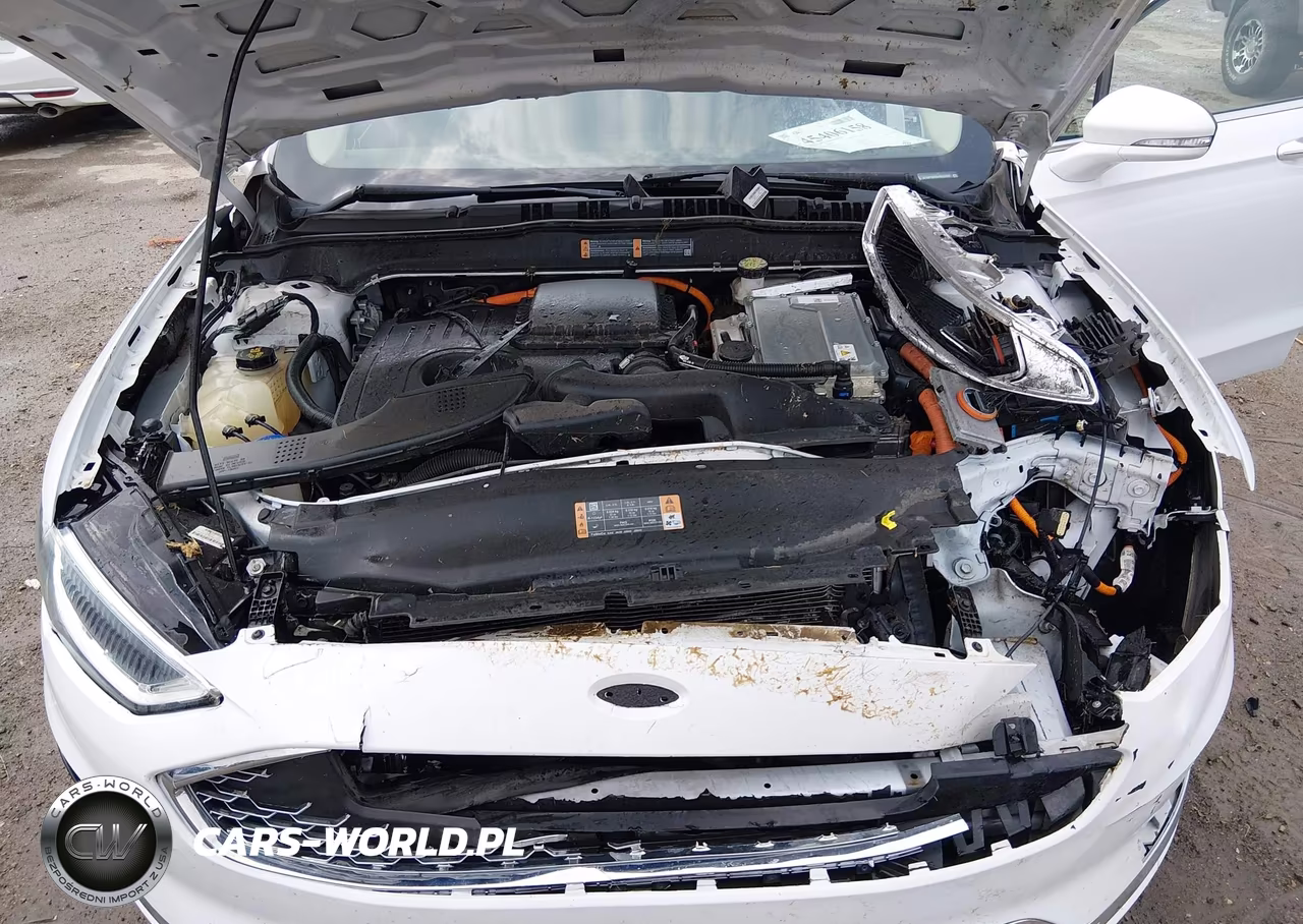 2019 Ford Fusion Energi Titanium VIN:3FA6P0SU5KR233306 - 10