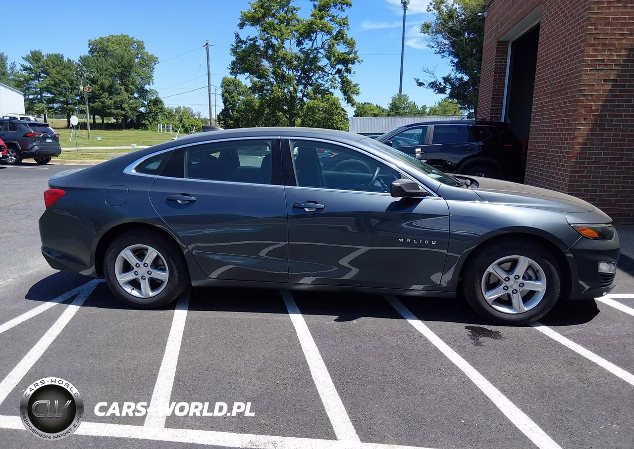 2020 Chevrolet Malibu Fwd 1Fl VIN:1G1ZC5ST8LF099003 - 15