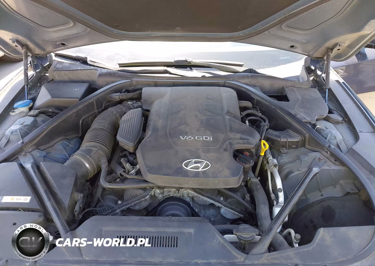2015 Hyundai Genesis 3.8 VIN:KMHGN4JEXFU096301 - 10