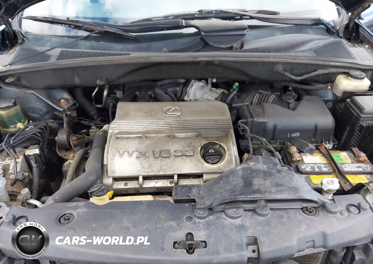 2004 Lexus Rx 330 VIN:2T2HA31UX4C012926 - 10
