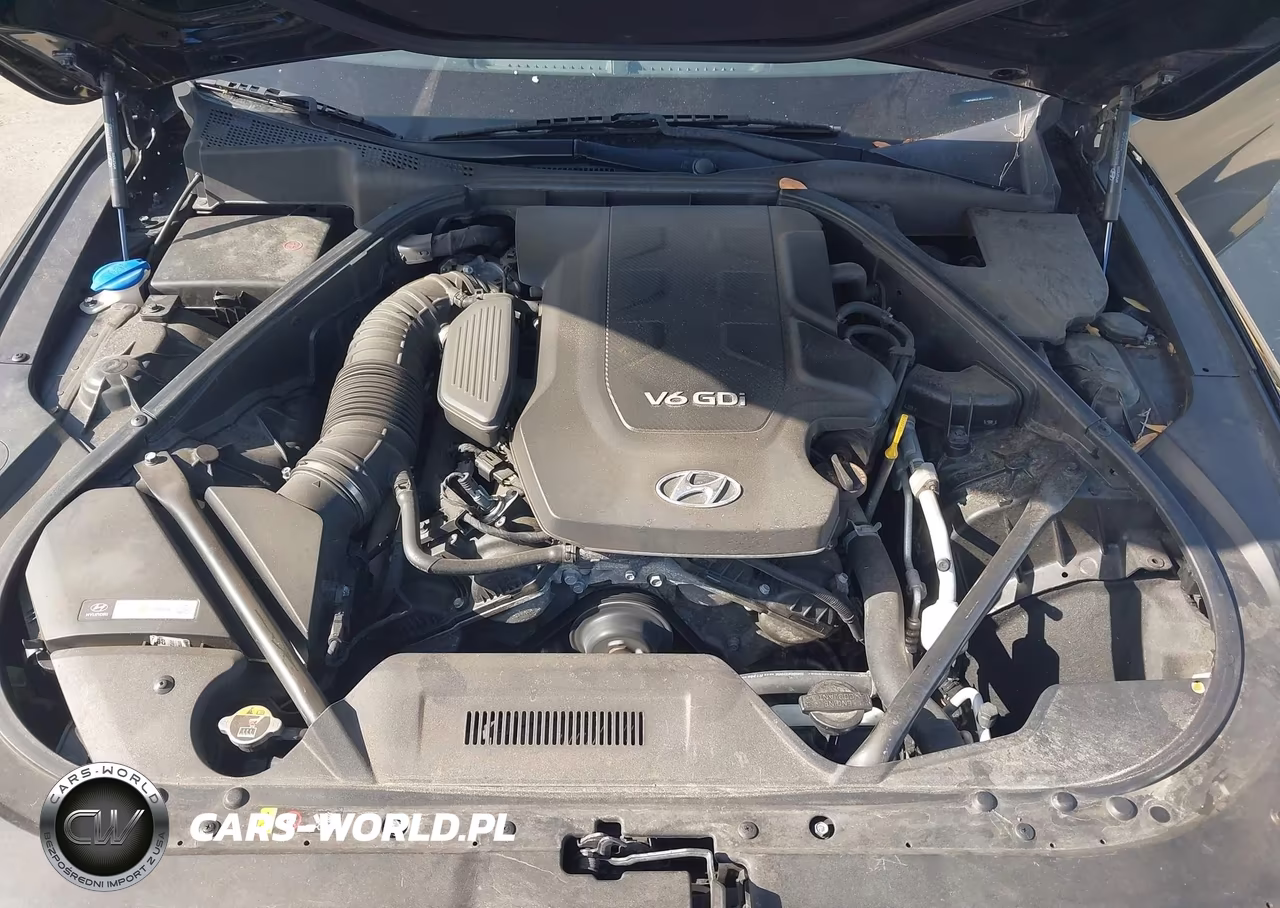 2015 Hyundai Genesis 3.8 VIN:KMHGN4JE9FU103545 - 10
