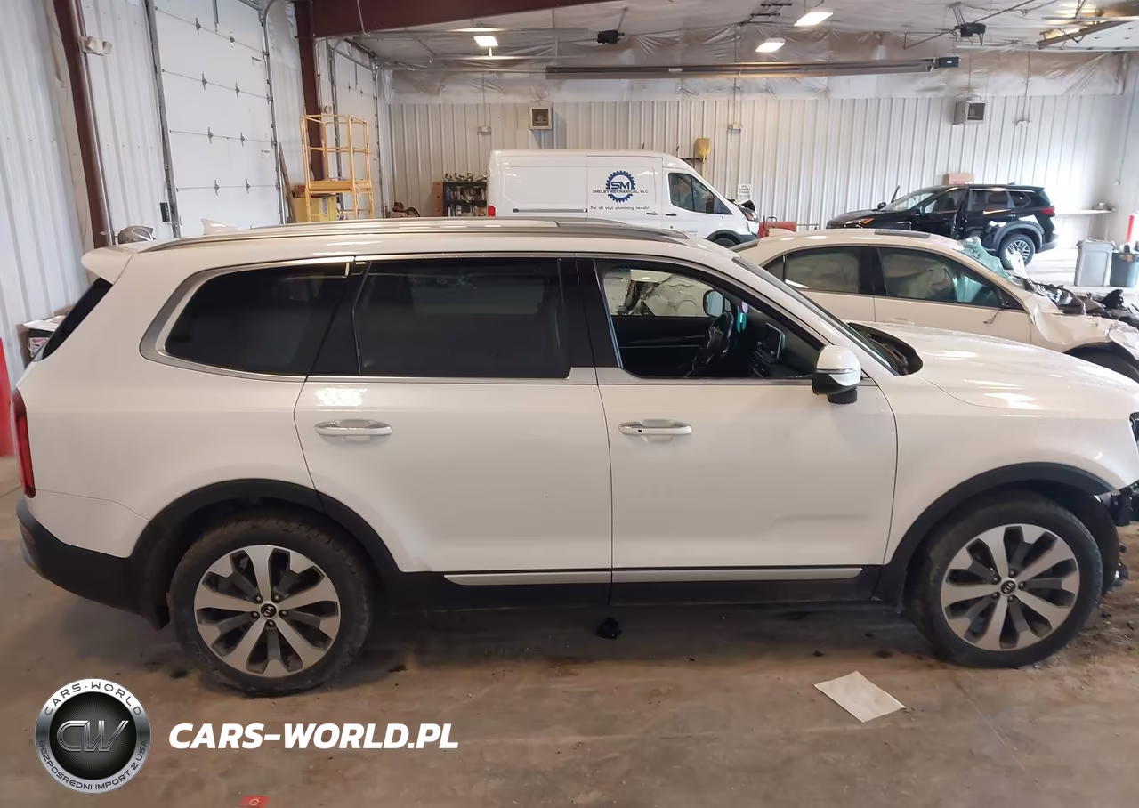2020 Kia Telluride S VIN:5XYP6DHC7LG033451 - 13