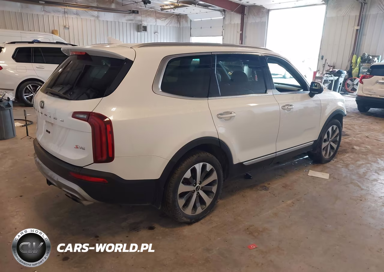 2020 Kia Telluride S VIN:5XYP6DHC7LG033451 - 4