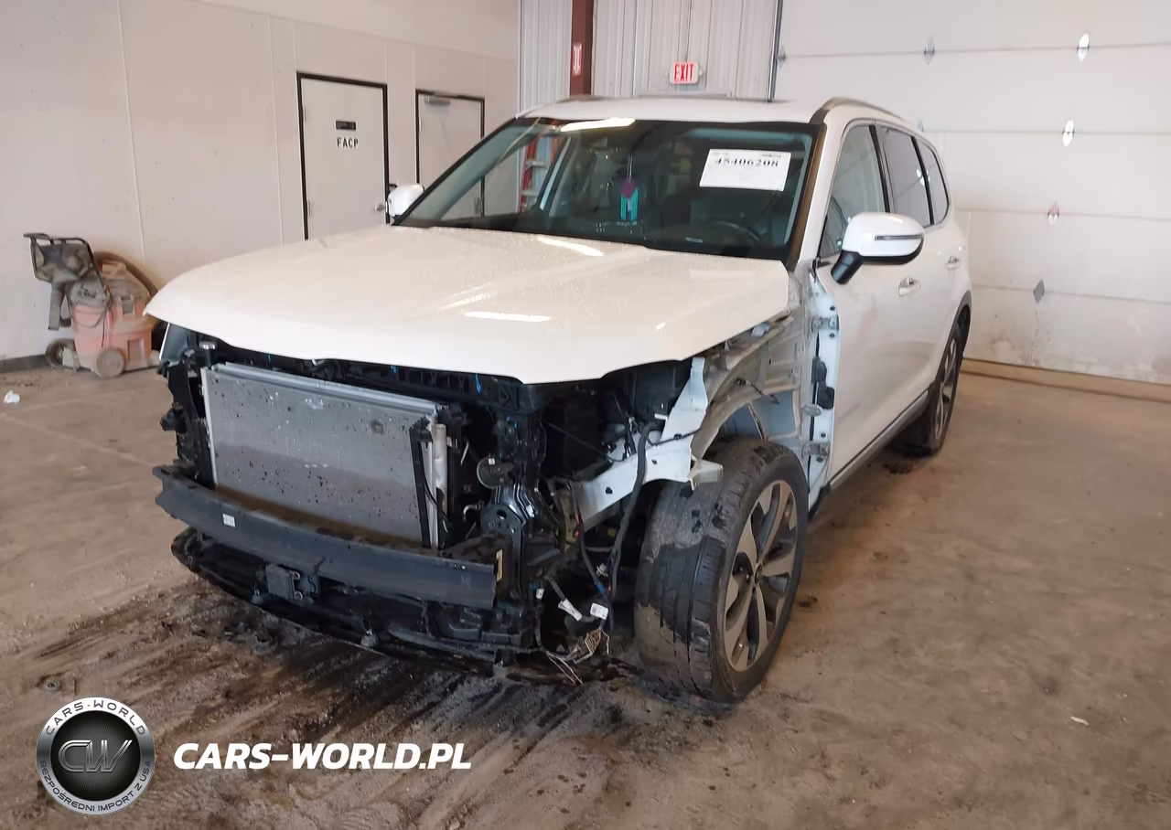 2020 Kia Telluride S VIN:5XYP6DHC7LG033451 - 6