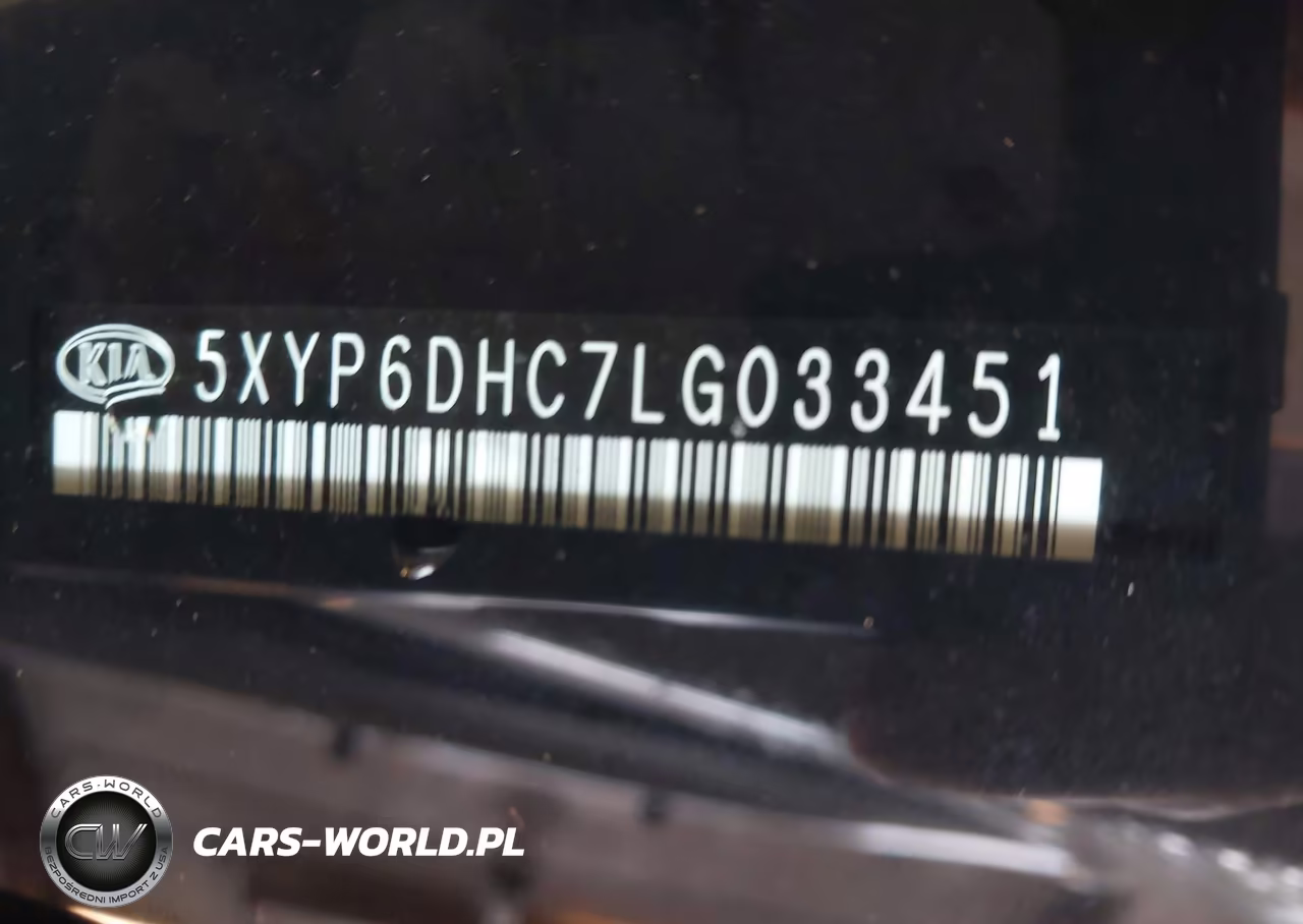 2020 Kia Telluride S VIN:5XYP6DHC7LG033451 - 9