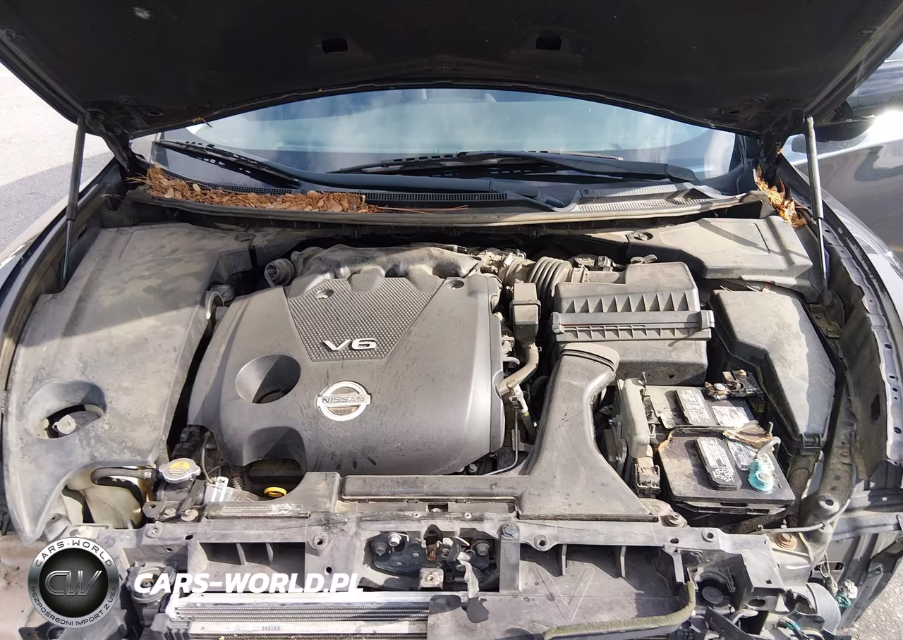 2014 Nissan Maxima 3.5 S-3.5 Sv VIN:1N4AA5AP3EC495235 - 10
