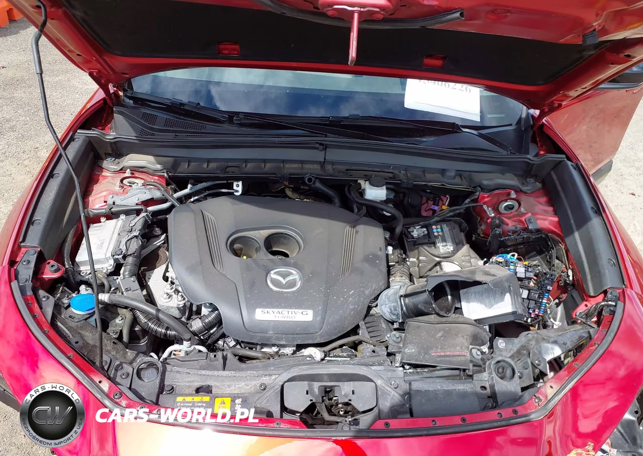 2025 Mazda Cx-30 2.5 Turbo Premium Plus Package VIN:3MVDMBEY8SM752964 - 10