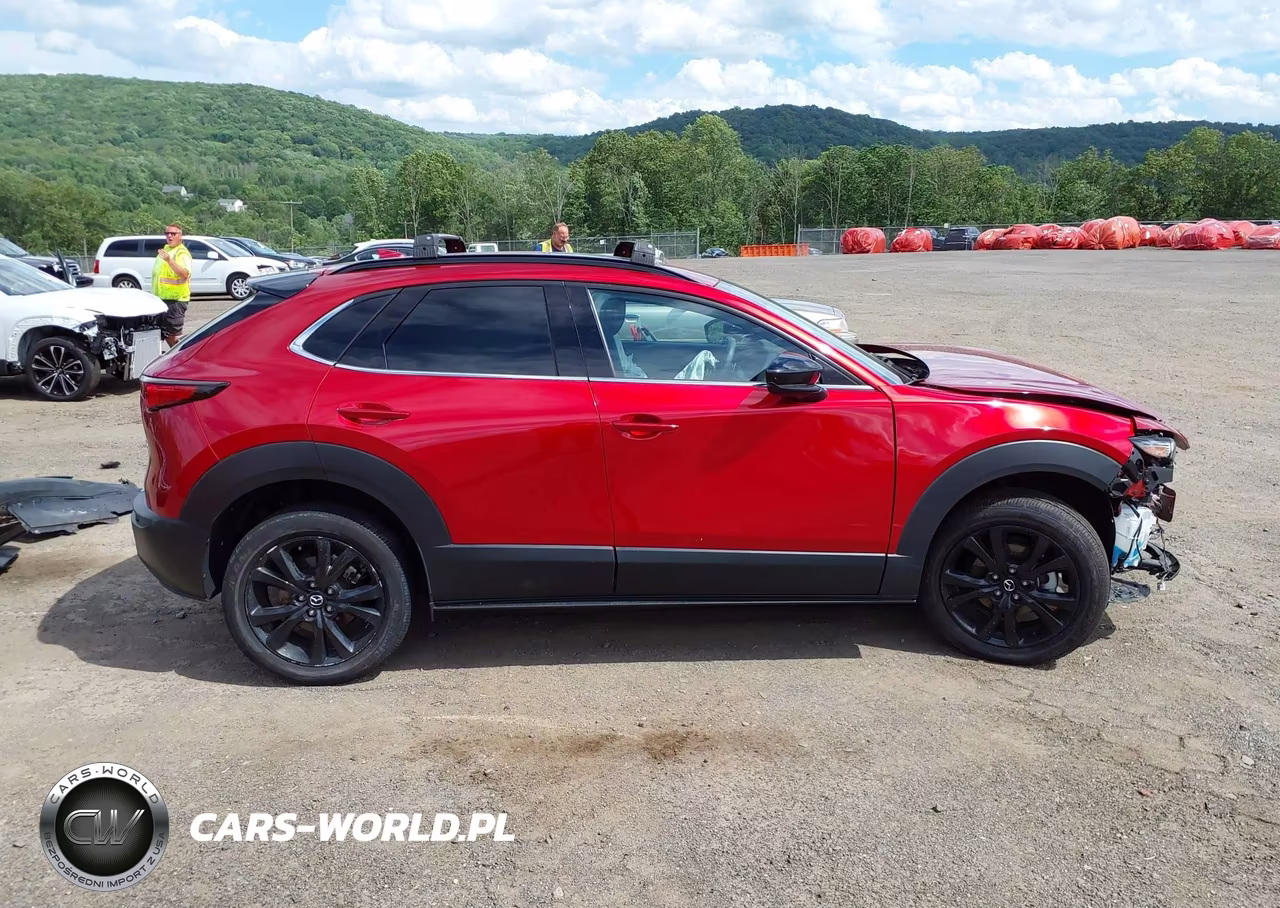 2025 Mazda Cx-30 2.5 Turbo Premium Plus Package VIN:3MVDMBEY8SM752964 - 14