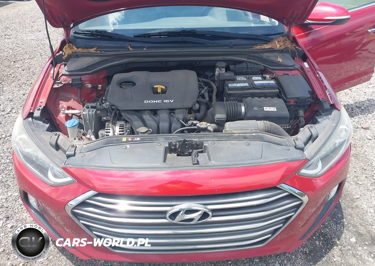 2017 Hyundai Elantra Limited VIN:KMHD84LFXHU281953 - 10