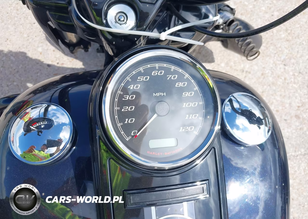 2019 Harley-Davidson Flhrxs VIN:1HD1KVP10KB638538 - 7