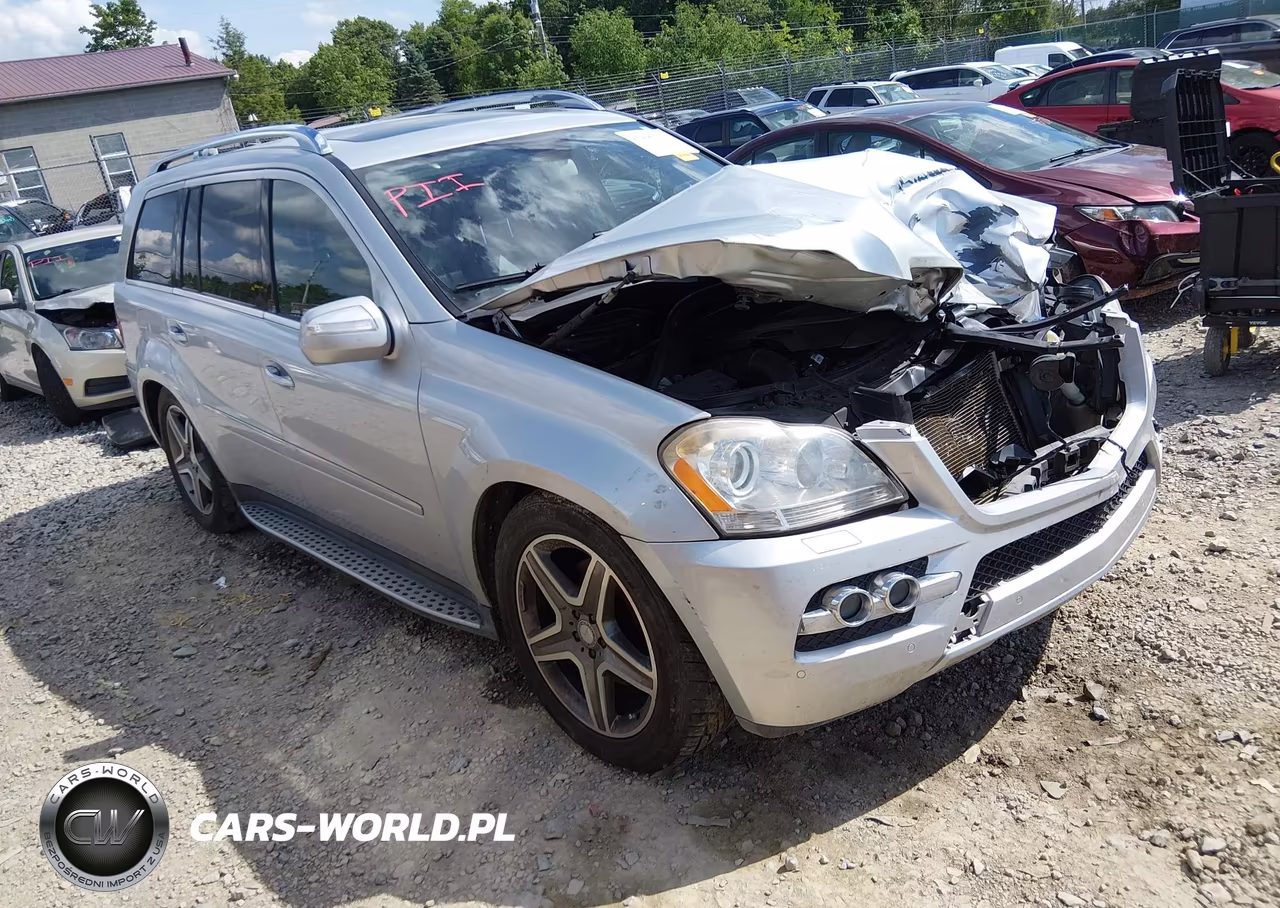 2010 Mercedes-Benz Gl 450 4Matic