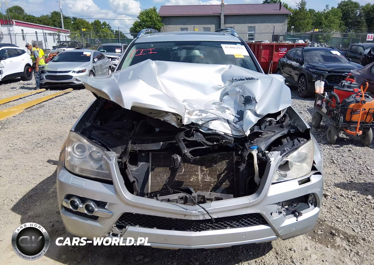 2010 Mercedes-Benz Gl 450 4Matic VIN:4JGBF7BE8AA619073 - 12